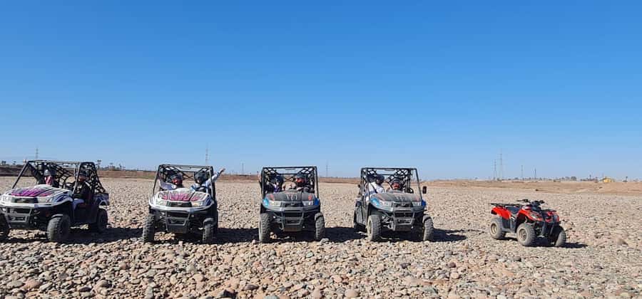 Buggy ride at the Palm Grove and Desert with swimming pool - Palm Oasis Photos, Shade, and Why This Break Matters