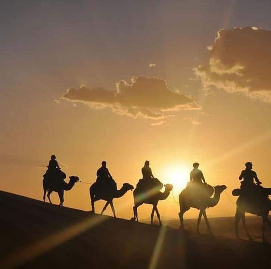 Buggy ride with camels and dinner show in agafay desert - Key highlights worth waking up for