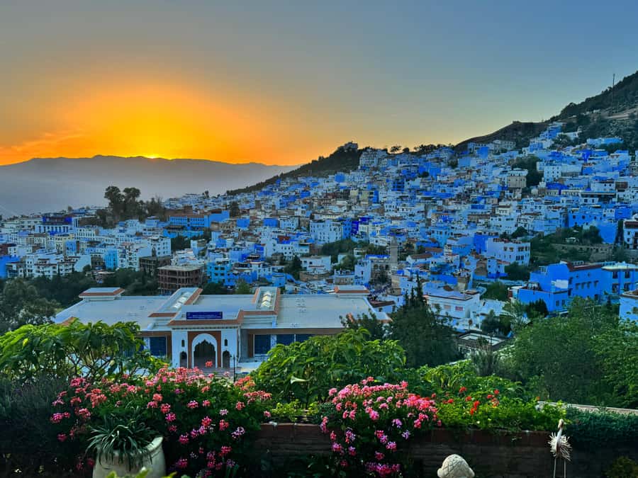 By Group - Chefchaouen bleu city Day Trip with Small Group - Who should book this trip, and who might not