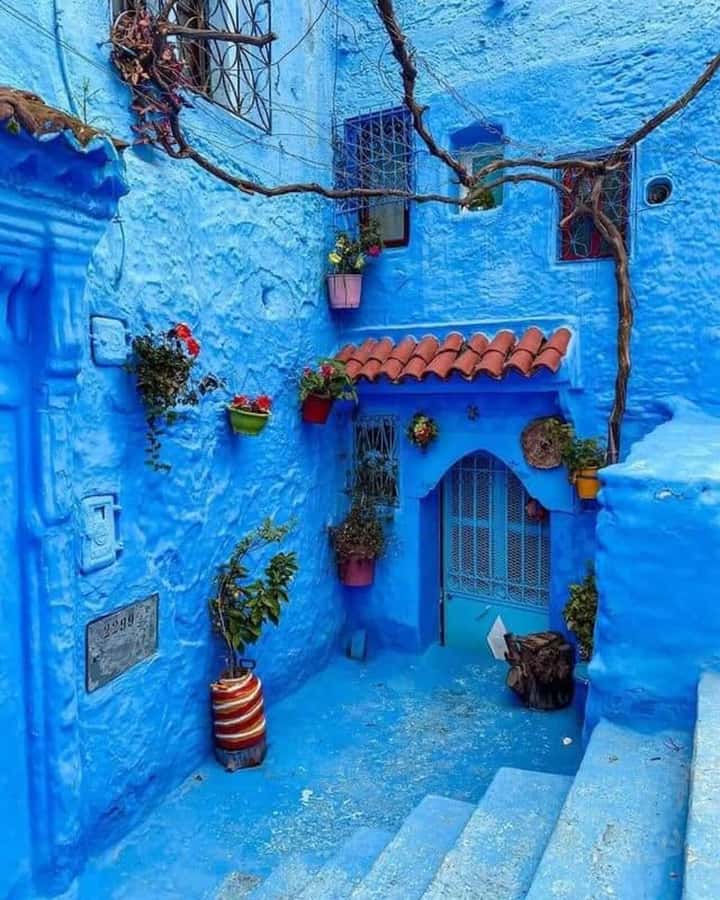 By Group - Chefchaouen bleu city Day Trip with Small Group - A quick checklist so you enjoy the Blue City more