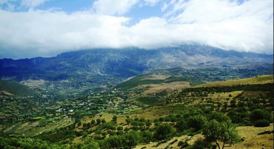 By Group - Chefchaouen bleu city Day Trip with Small Group - Chefchaouen arrival logistics: timing and where you actually get dropped