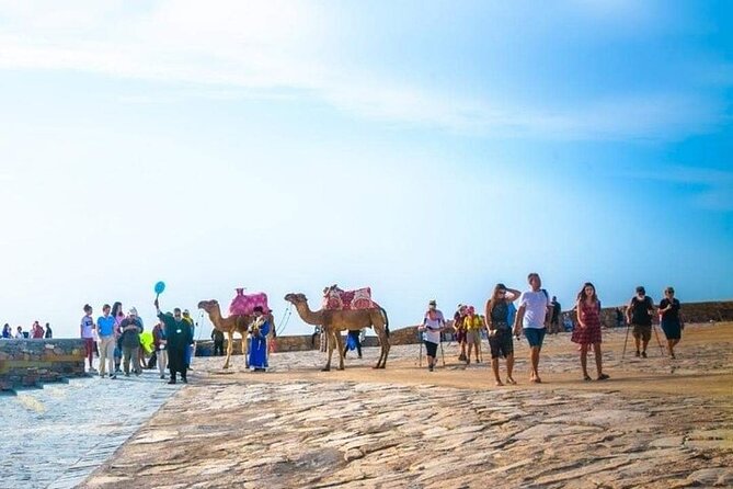 Cable Car Experience and Agadir City Tour. - Guide quality and day-to-day differences