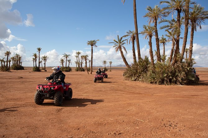 Camel and Quad Biking Tour from Marrakech - The scenery you pass: palm groves, villages, and farm life