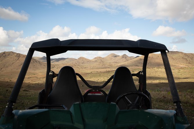 Camel and Quad Biking Tour from Marrakech - Timing and flow: why the 5-hour shape feels full but not frantic