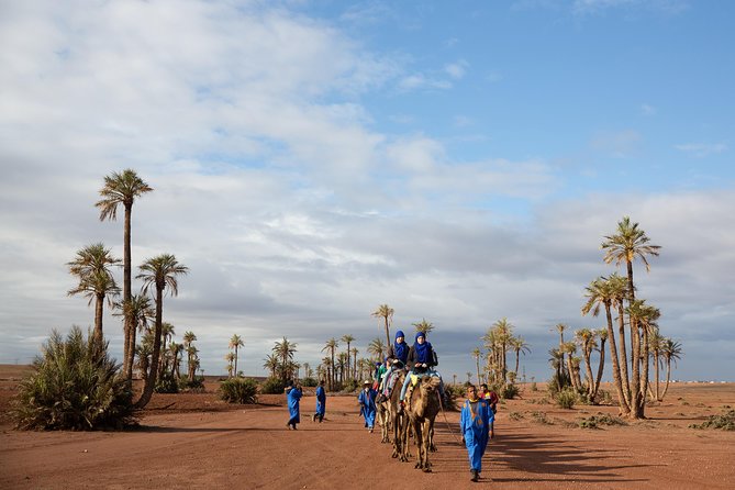 Camel and Quad Biking Tour from Marrakech - Agafay on camel: slow riding with real views and a proper tea break