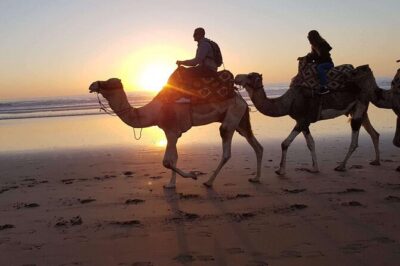 Camel Ride and Barbecue Tour in Agadir