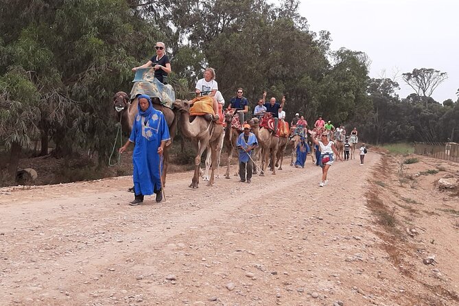 Camel Ride and Barbecue Tour in Agadir - Souss National Park by way of Oued Souss: where birds come into focus