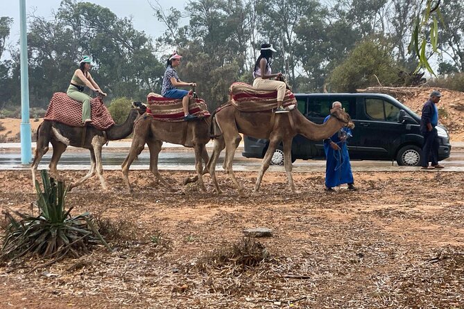Camel Ride and Barbecue Tour in Agadir - The tea break and the barbecue dinner: two Moroccan meals, not one
