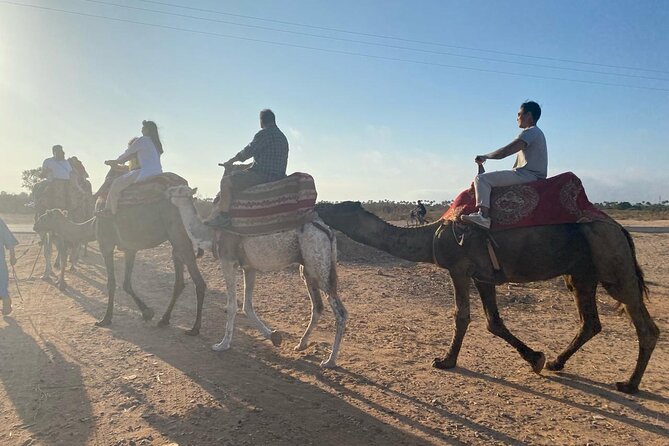 Camel Ride and Barbecue Tour in Agadir - Group size and guide vibe: you’re not stuck with a big crowd