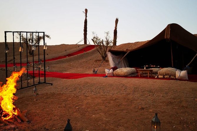 Camel ride and dinner Agafay desert - Key things to know before you go