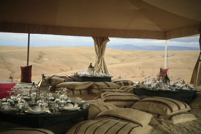 Camel ride and dinner Agafay desert - Price and Value: Is $99.89 Worth It?