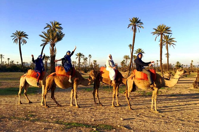 Camel Ride and Spa Treatment in Marrakech - Who This Tour Fits Best, and Who Might Want Something Else