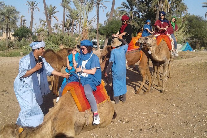 Camel ride at sunset in Marrakech palm grove - The camel trek itself: what it feels like and how to ride safely