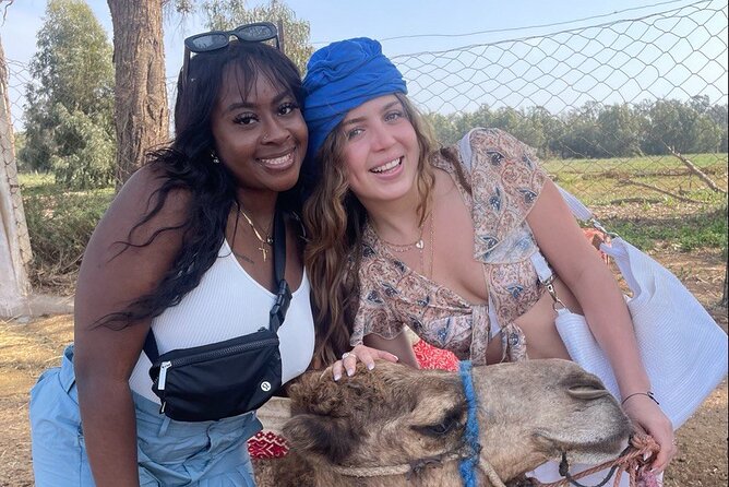 Camel ride in agadir at sunset with barbecue and couscous - Key highlights to know before you go