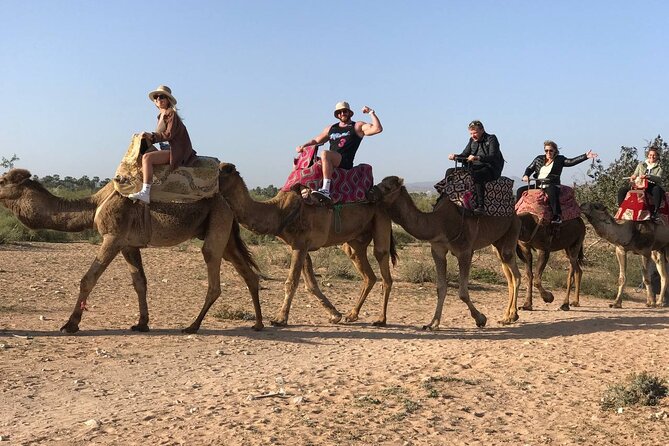 Camel ride in agadir at sunset with barbecue and couscous - The camel ride over Agadir dunes: timing, comfort, and photo moments