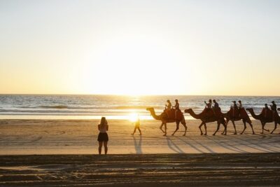 Camel ride in agadir at sunset with barbecue and couscous