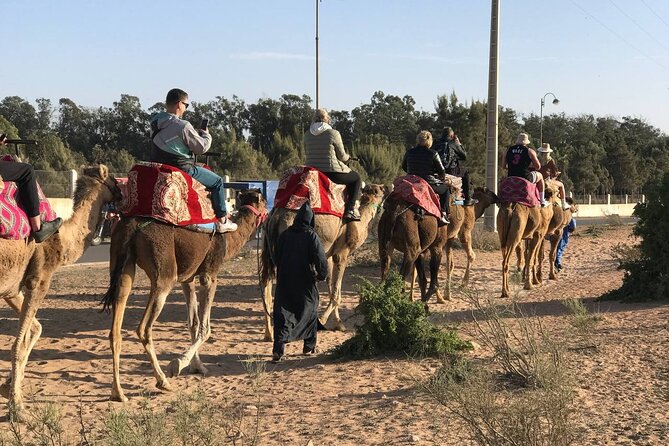 Camel ride in agadir at sunset with barbecue and couscous - Who should book this camel ride and who should reconsider