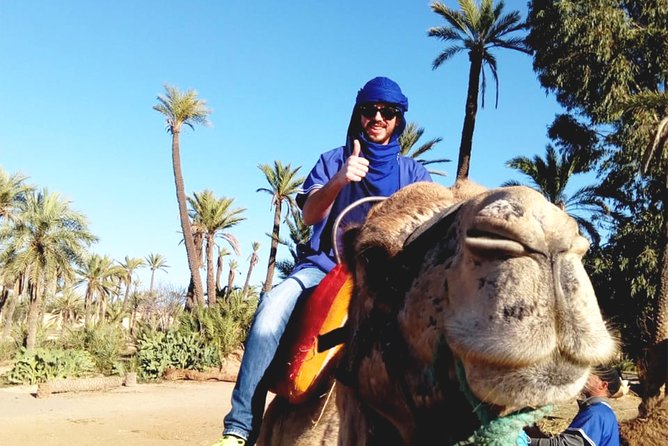 Camel Ride in Marrakech with Hotel-Pick up and Drop-off Included - Mint tea time: the moment that makes it feel complete