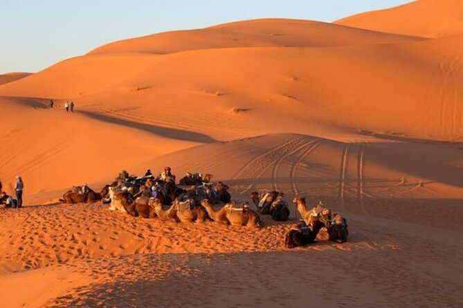 Camel ride in Tanger - Why a camel ride from Tangier works as a coastal “shortcut”