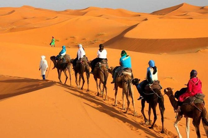 Camel ride in Tanger - Pickup, comfort, and how the van experience shapes your day