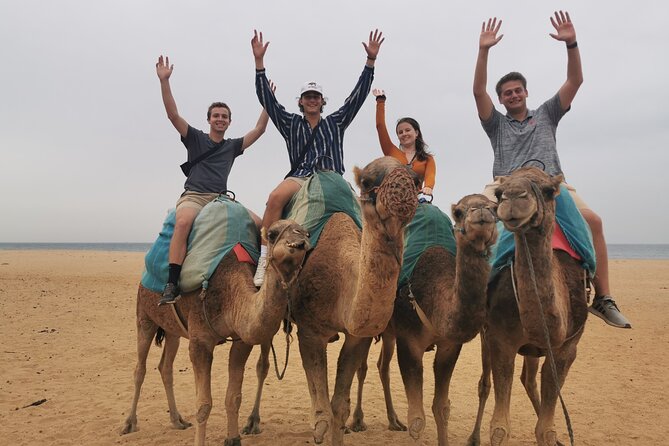 Camel ride in Tanger - Cap Spartel photo stop: a fast break with big lighthouse energy