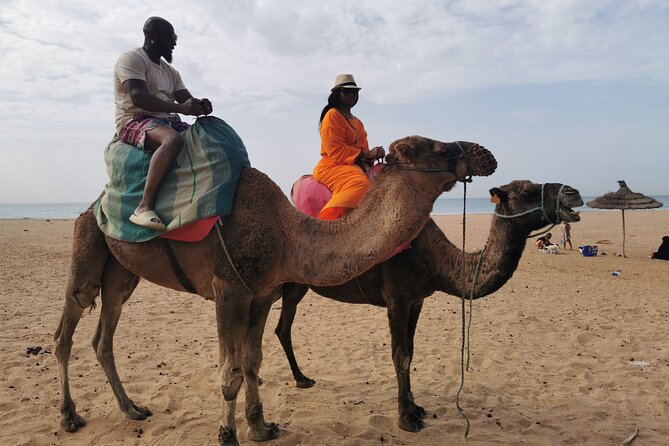 Camel ride in Tanger - Caves of Hercules: when tickets cost extra and cash rules matter