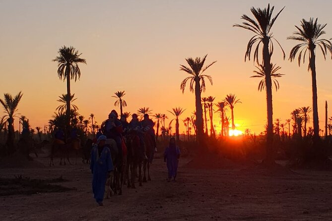 Camel ride Marrakech - Key Points Before You Go
