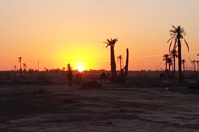 Camel ride Marrakech - The Camel Ride Itself: About One Hour, With Photo Stops