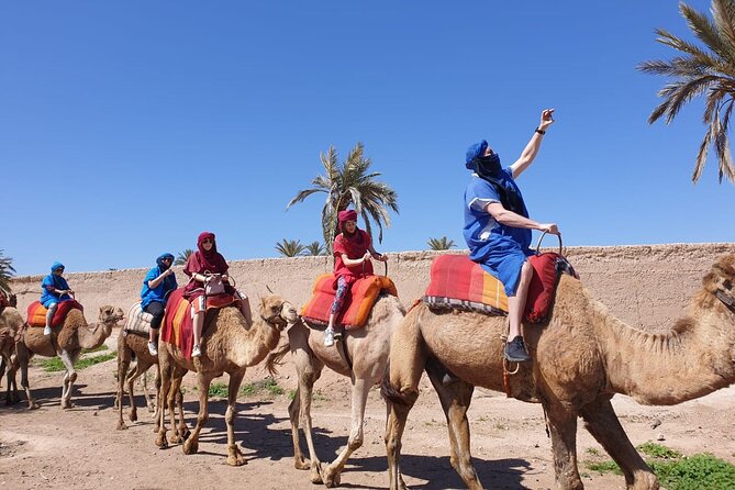 Camel ride Marrakech - Getting There From Your Hotel: Pickup That Saves Time