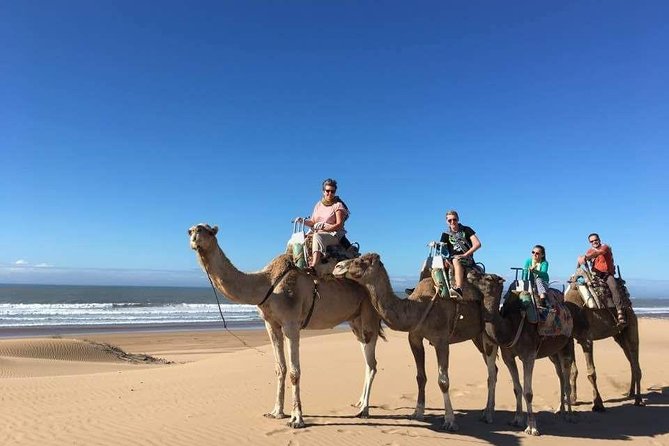 Camel Ride on the Beach of Essaouria - Big dunes and the beach: where the ride gets dramatic