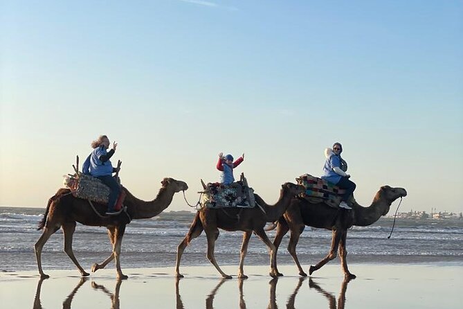 Camel ride or quad bike ride.. pick up, drop off. including - How Guides Make or Break the Ride, Ahmed to Eman Included