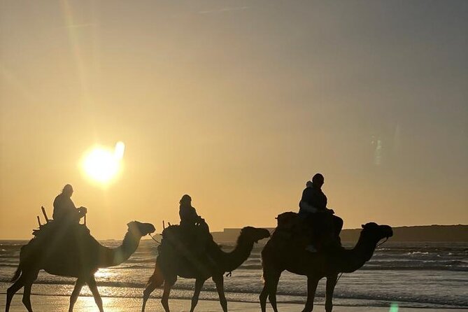 Camel ride or quad bike ride.. pick up, drop off. including - Duration and Group Size: The Value of a Short, Well-Guided Outing