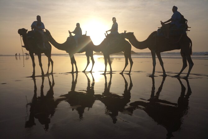 Camel ride or quad bike ride.. pick up, drop off. including - Oued Ksob at the Atlantic Edge: Nature Viewing Without the Hassle