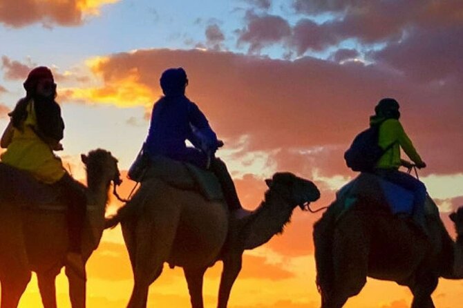 Camel ride + sunset + BBQ dinner in Agadir - From Agadir pickup to ranch time: how the 3.5 hours actually flows