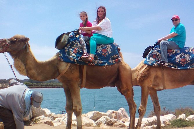 Camel Riding - Getting There Comfortably: Hotel Pickup, Minibus, Ranch Club