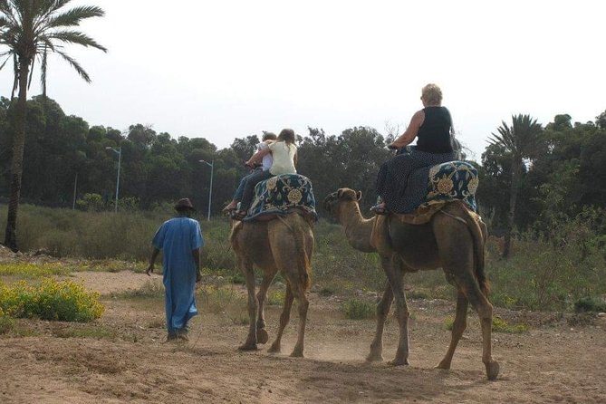 Camel Riding - Sunset Timing and Photo Stops That Actually Help