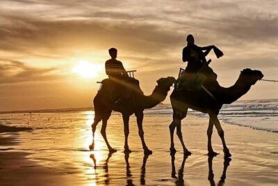 Camel Riding