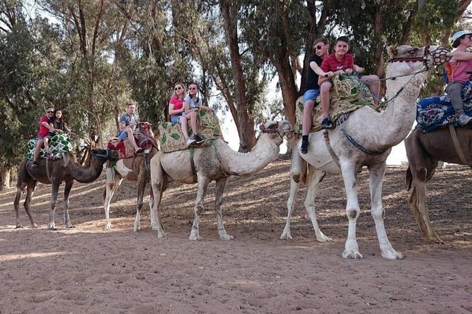 Camel Riding - What You Should Pack for a 2-Hour Dromedary Adventure