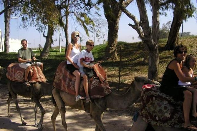 Camel Riding - Price and Value: How $22.08 Adds Up for a Small-Group Ride