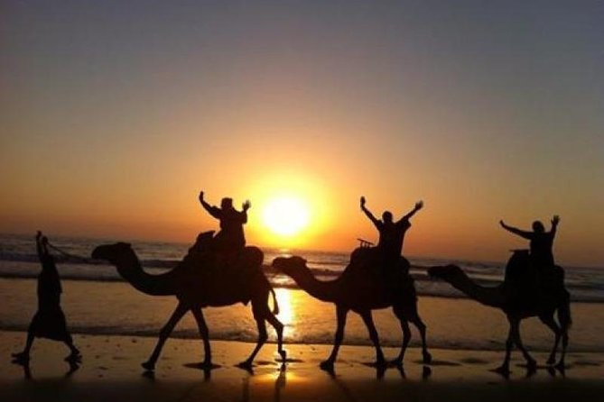 Camel Riding Agadir - Camel Handling, Reins, and Safety Expectations