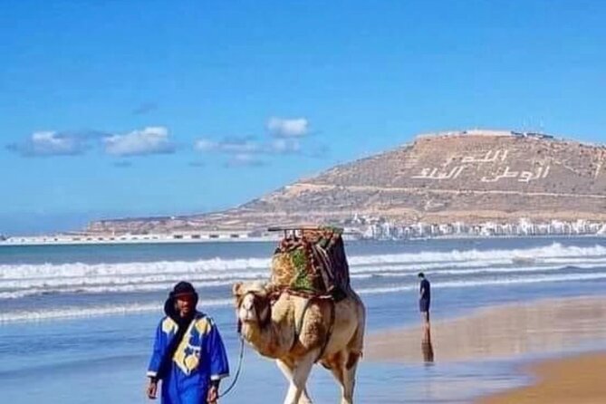 Camel Riding Agadir - Duration Options: 2 Hours vs Half Day vs Full Day