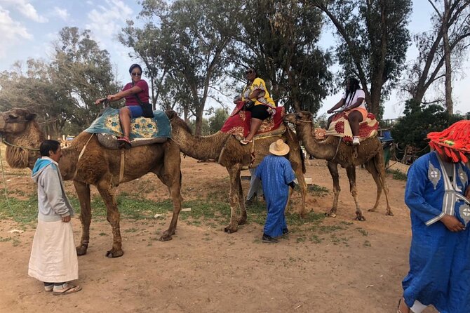 Camel Riding Agadir - Price and Logistics: Is $29.04 Good Value in Agadir?