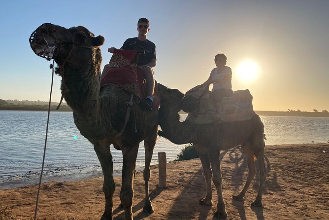 Camel Riding Agadir - What to Expect When the Experience Feels Private