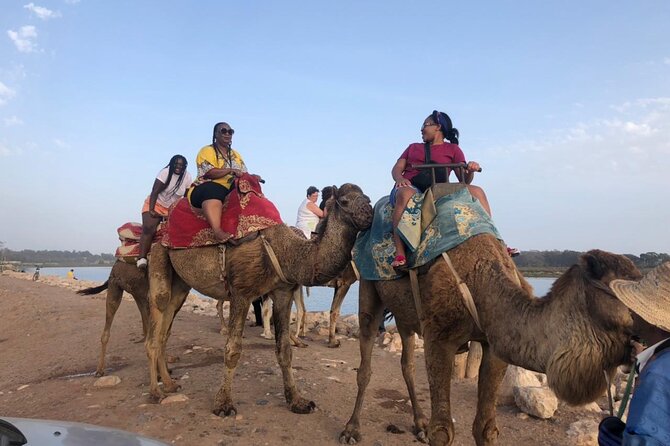 Camel Riding Agadir - Who This Camel Riding Agadir Trip Fits Best