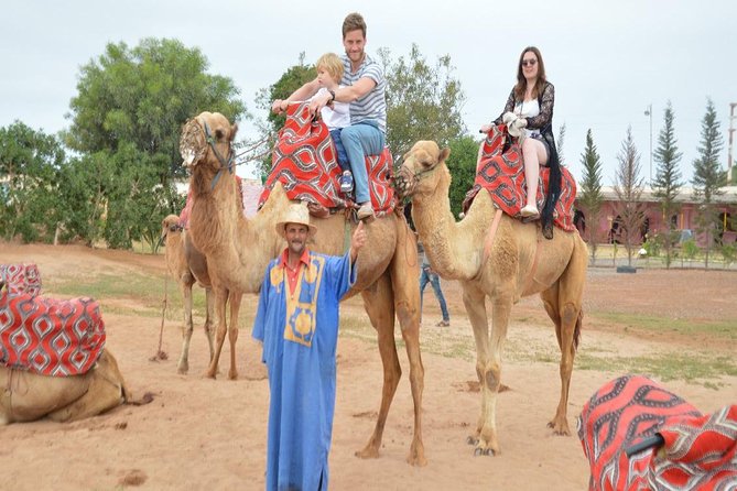 Camel riding in Agadir for Cruise ship Passengers - Key things to know before you ride