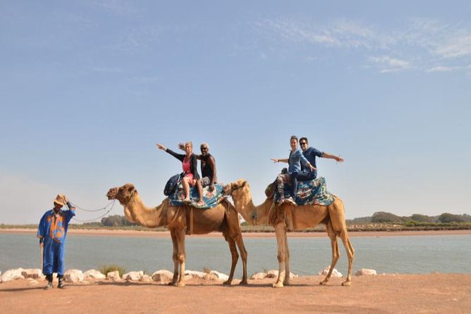 Camel riding in Agadir for Cruise ship Passengers - Costumes that make your photos look local, not rented