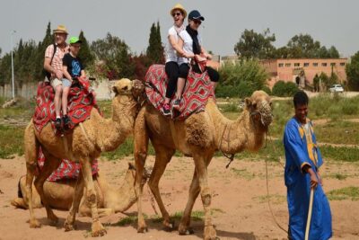 Camel riding in Agadir for Cruise ship Passengers