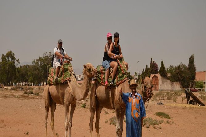 Camel riding in Agadir for Cruise ship Passengers - Tea and snacks after the ride, plus those staff photo moments