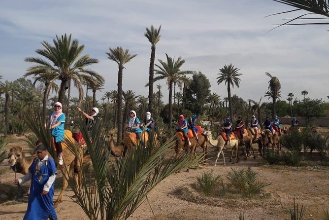 Camel riding in marrakech - Hotel Pickup From Hôtel Tazi79, and Why It Sets the Tone
