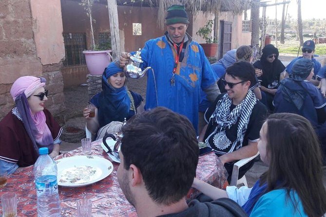 Camel riding in marrakech - Photo Pauses in the Palmery Garden